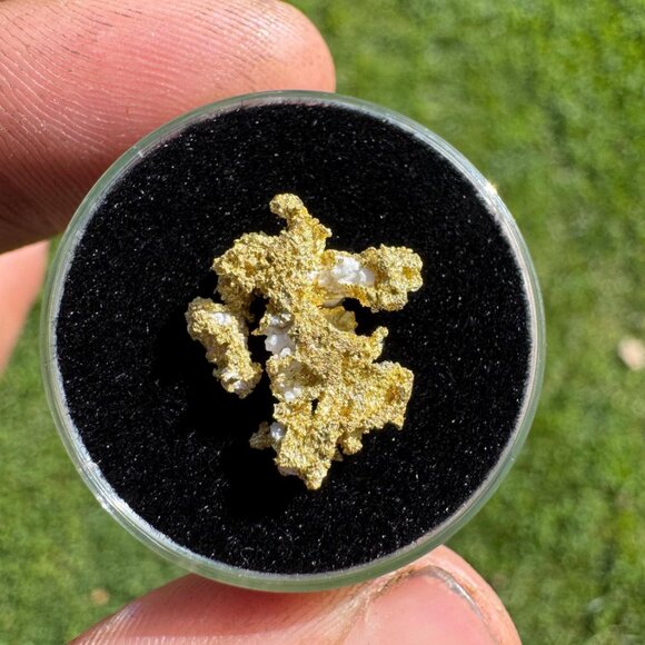 California Native Gold Crystal - 1.57 grams - Picture 2 of 5
